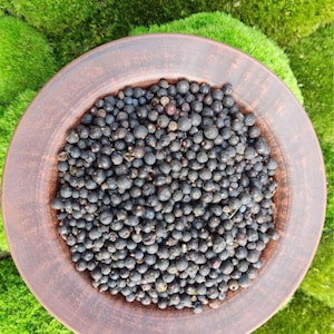 Pode incluir: Um prato de cerâmica castanho repleto de numerosas bagas escuras e redondas. O prato repousa sobre uma cama de musgo verde brilhante. As bagas parecem secas ou preservadas, criando uma estética natural e orgânica. A imagem evoca um charme rústico.
