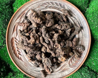 Galgantwurzel | Alpinia Officinarum | Pflanzlich | Locker | Frisch Geerntet | Premium-Qualität