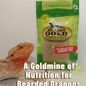 Bearded Dragon Meal Replacement: Real Food, Complete Nutrition