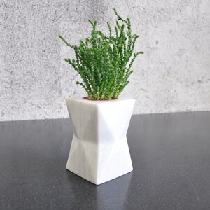 May include: A small green succulent plant in a white geometric planter. The planter has a unique, modern design with a square base and a pointed top.