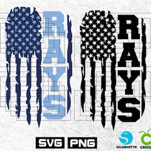 Rays Baseball Svg File