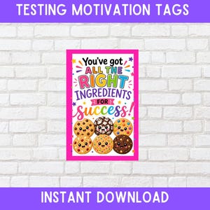 Puede incluir: Un póster motivacional con un borde rosa presenta el texto "You've got all the right ingredients for success!" e ilustraciones de galletas sonrientes. Las palabras "Testing Motivation Tags" e "Instant Download" están arriba y abajo.