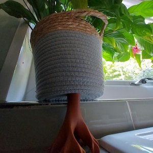 Pode incluir: Uma planta em vaso em uma cesta tecida azul e marrom com um pé de cerâmica marrom de três dedos.