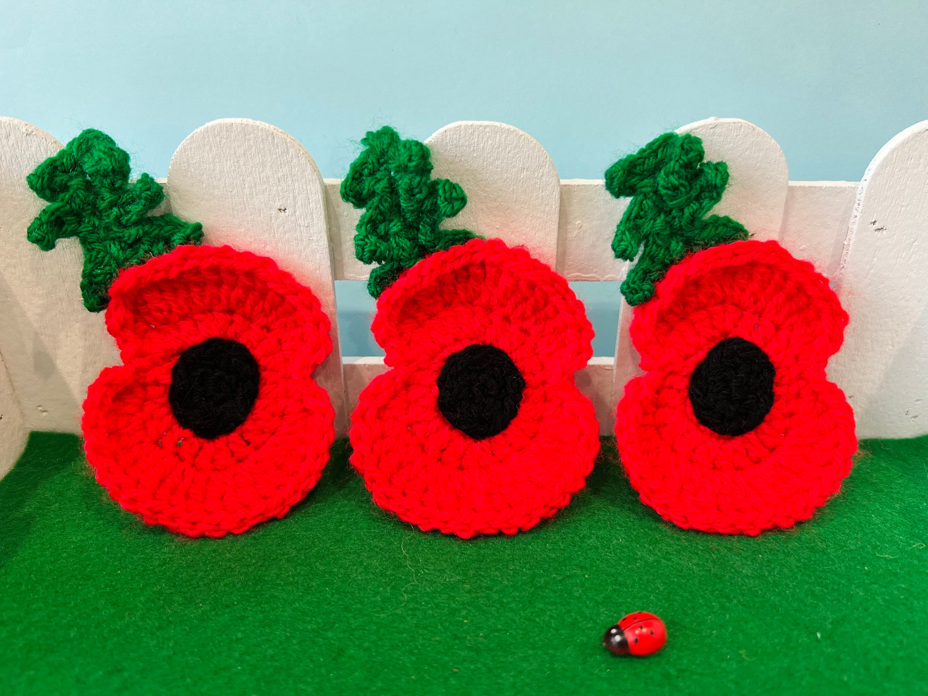 Remembrance poppy hotsell jewellery