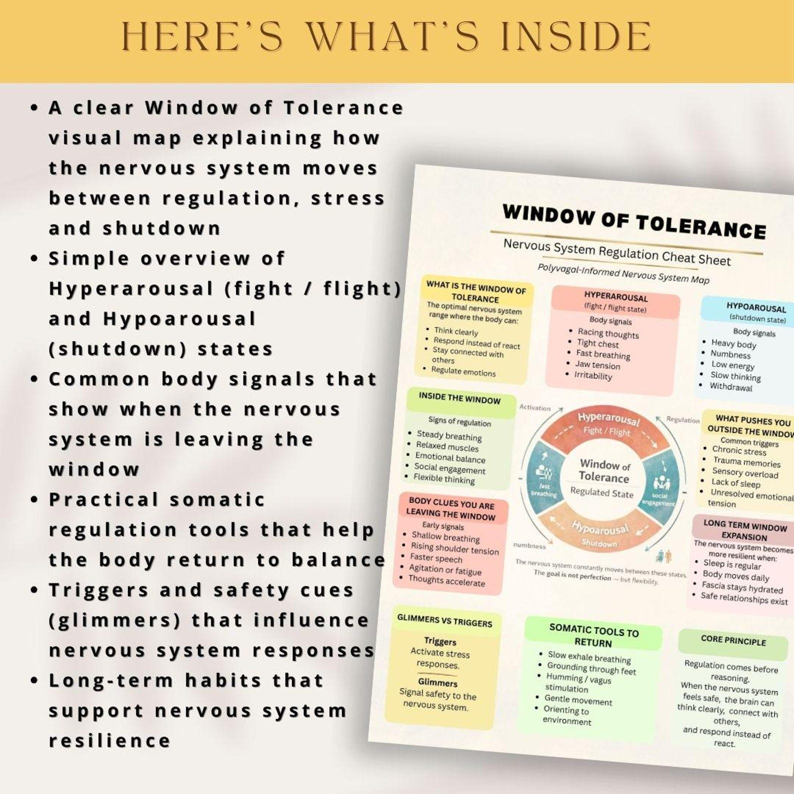 Window of Tolerance Cheat Sheet | Polyvagal Nervous System Regulation ...