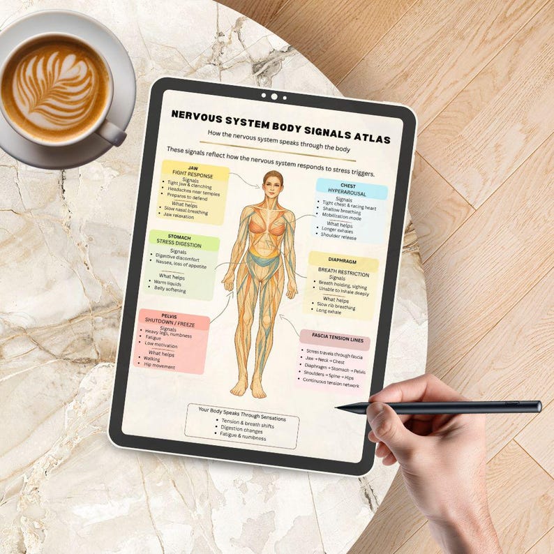 Nervous System Body Signals Atlas | Somatic Stress Map (PDF Download ...
