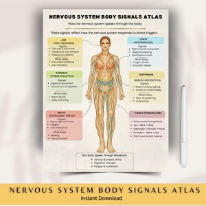 Op de afbeelding: Een set van drie keramische mokken met een gespikkelde, matte afwerking. De mokken zijn in crème, lichtgrijs en donkergrijs. Elke mok heeft een eenvoudig, minimalistisch ontwerp.