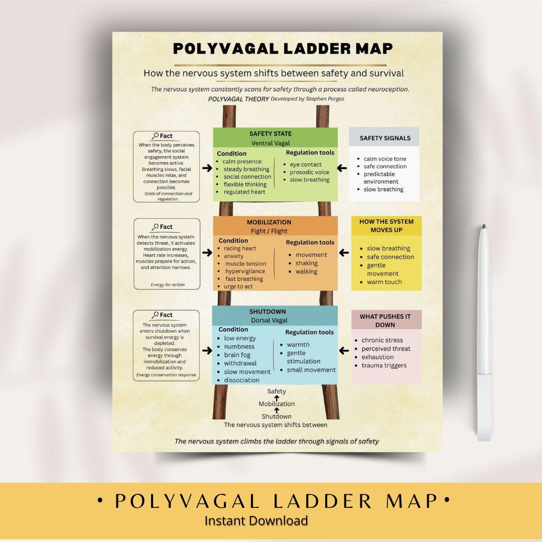 Ladder Restriction Map Buy Polyvagal Ladder Map | Nervous System Regulation Visual Guide ...