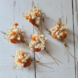 Boho Dried flower hair pins,Boho Gypsophila hair clips for bride, Autumn Flower hair pins,Burnt Orange Wedding flower hair pins, Set of 5 hair pins