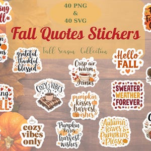 Puede incluir: Una colección de pegatinas con temática otoñal con frases como "Falling for Fall", "Hello Fall" y "Cozy Vibes". Las pegatinas presentan calabazas, hojas e ilustraciones de bebidas calientes. Se muestra el texto "Fall Quotes Stickers".