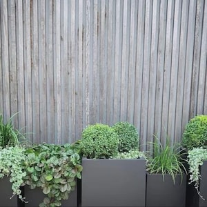 May include: A row of dark gray rectangular planters filled with various green plants and shrubs. The planters are set against a weathered, vertical wooden fence. The plants include trailing vines, round shrubs, and tall grasses.
