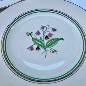 Coralbel plates made by Syracuse China, Made from 1947-1967, Pattern (SYCOR)
