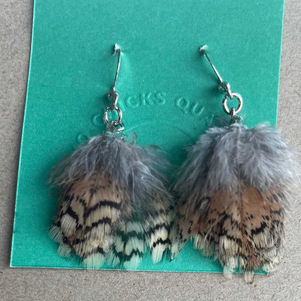 Quail Feather Etsy