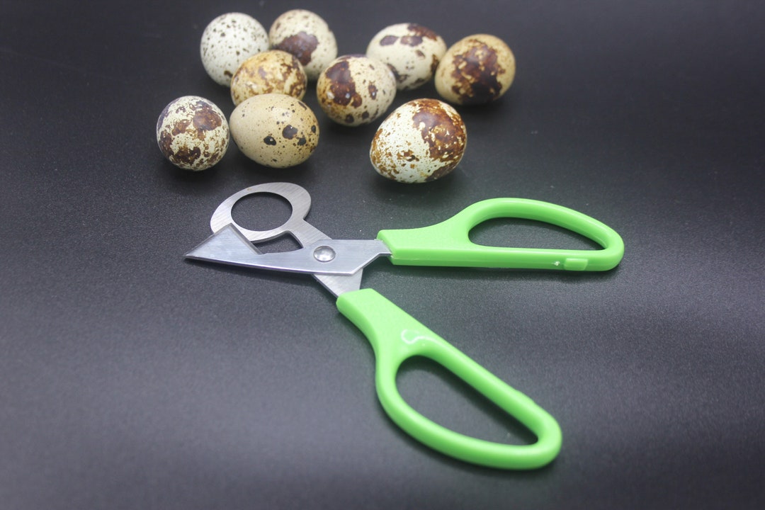 Quail Egg Scissors Egg Scissors Quail Eggs Eggs Etsy