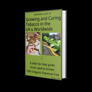 Beginners Guide to Grow your own Tobacco in the UK