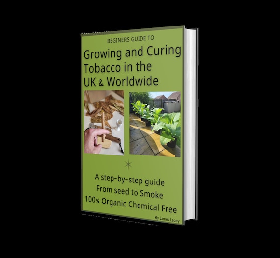 can you grow tobacco in uk Beginners Guide to Grow Your Own Tobacco in the UK
