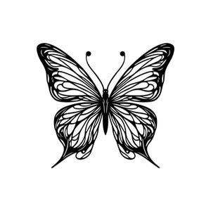 Large Butterfly Minimalist Line Art
