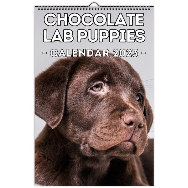 Chocolate Lab Calendar Etsy
