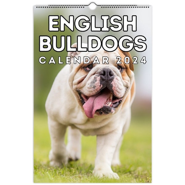 2024 Bulldog Svg Etsy