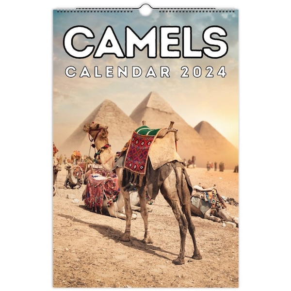 Camels Wall Calendar 2024, Cute Gift Idea For Camel Lovers!