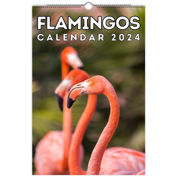 2024 Flamingo Etsy
