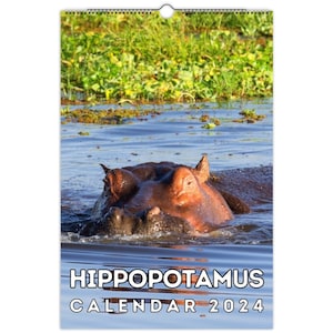 Hippopotamus Wall Calendar 2024, Cute Gift Idea For Hippo Lovers!