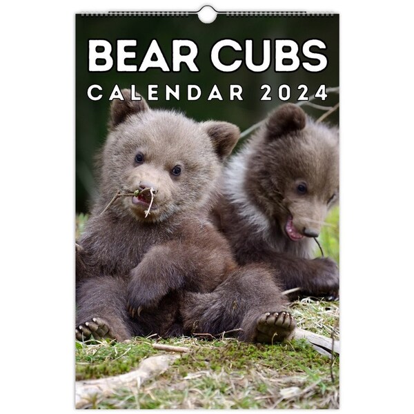 Bear Cubs Wall Calendar 2024, Cute Gift Idea For Bear Lovers!