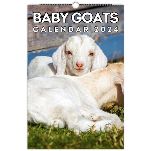2024 Goats Calendar Etsy