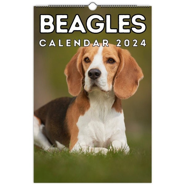 Calendrier Beagles 2024, jolie idée cadeau pour les amateurs et propriétaires de Beagles !