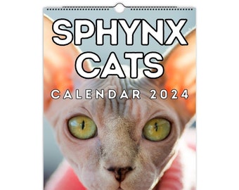 Sphynx Cat Calendar 2024 Monthly Wall Calendar, A4 Hanging Calendar