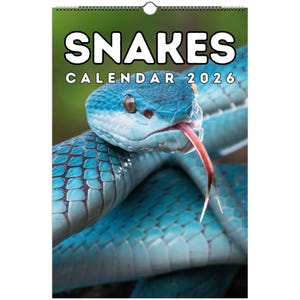 Schlangen Wandkalender 2026, Geschenk für Schlangen Liebhaber