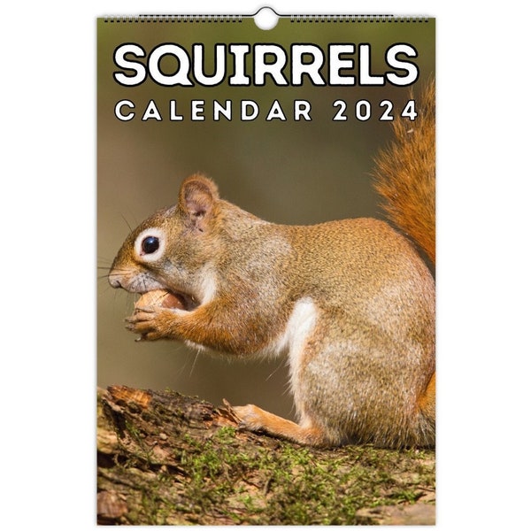 2024 Squirrel Etsy