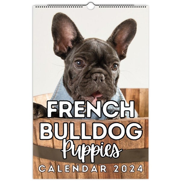 French Bulldog Puppies Wall Calendar 2024, Cute Gift Idea For French Bulldog Lovers!