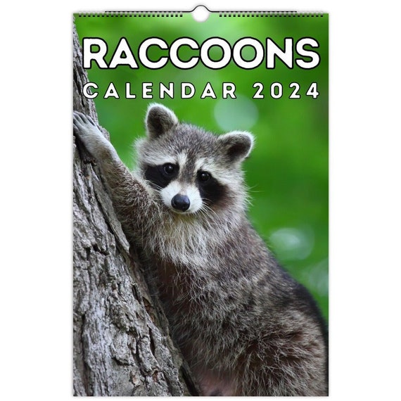 Raccoons Wall Calendar 2024, Cute Gift Idea for Raccoon Lovers - Etsy