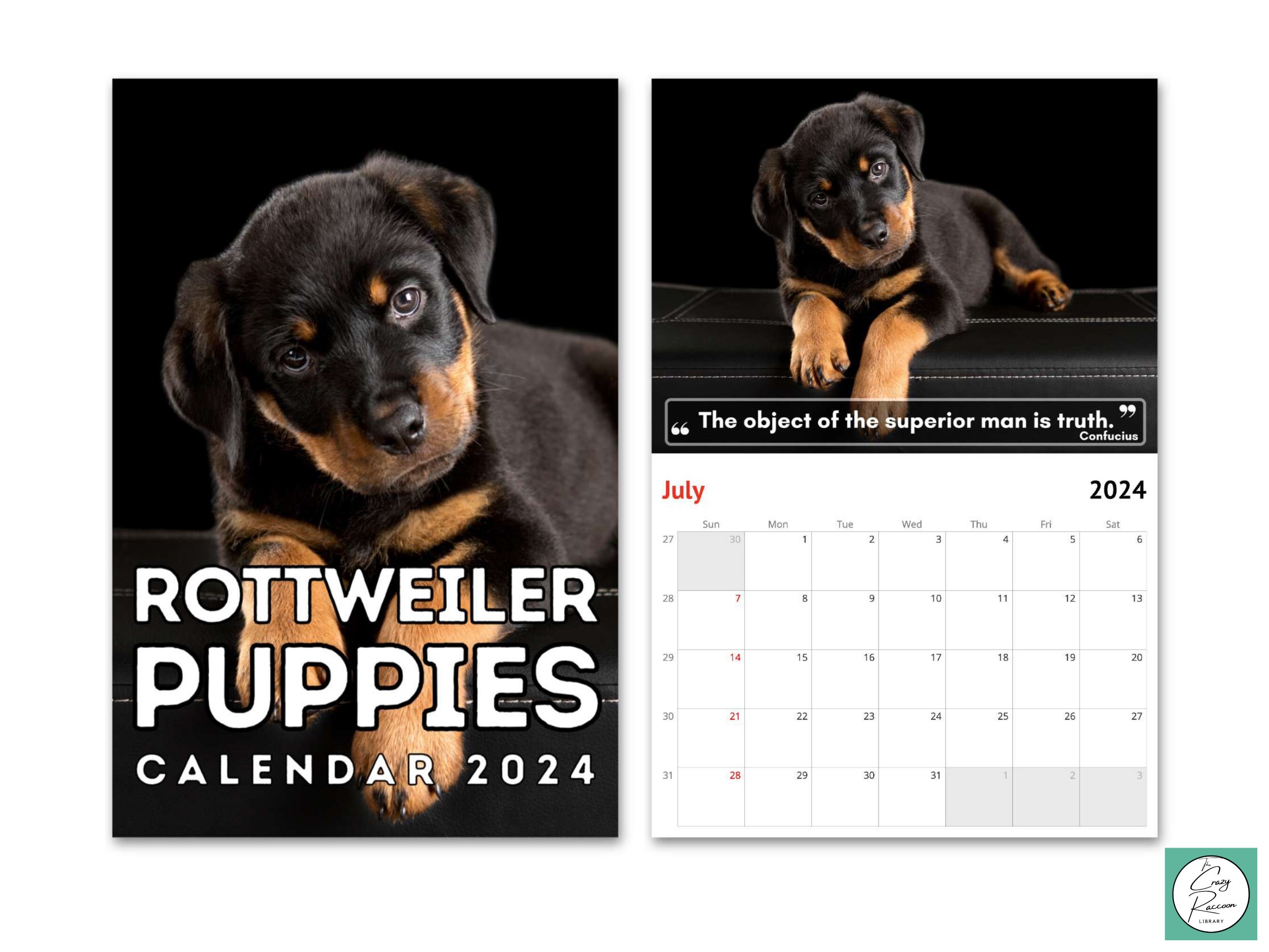 Rottweiler Puppies Wall Calendar 2024 Cute Gift Idea for Etsy
