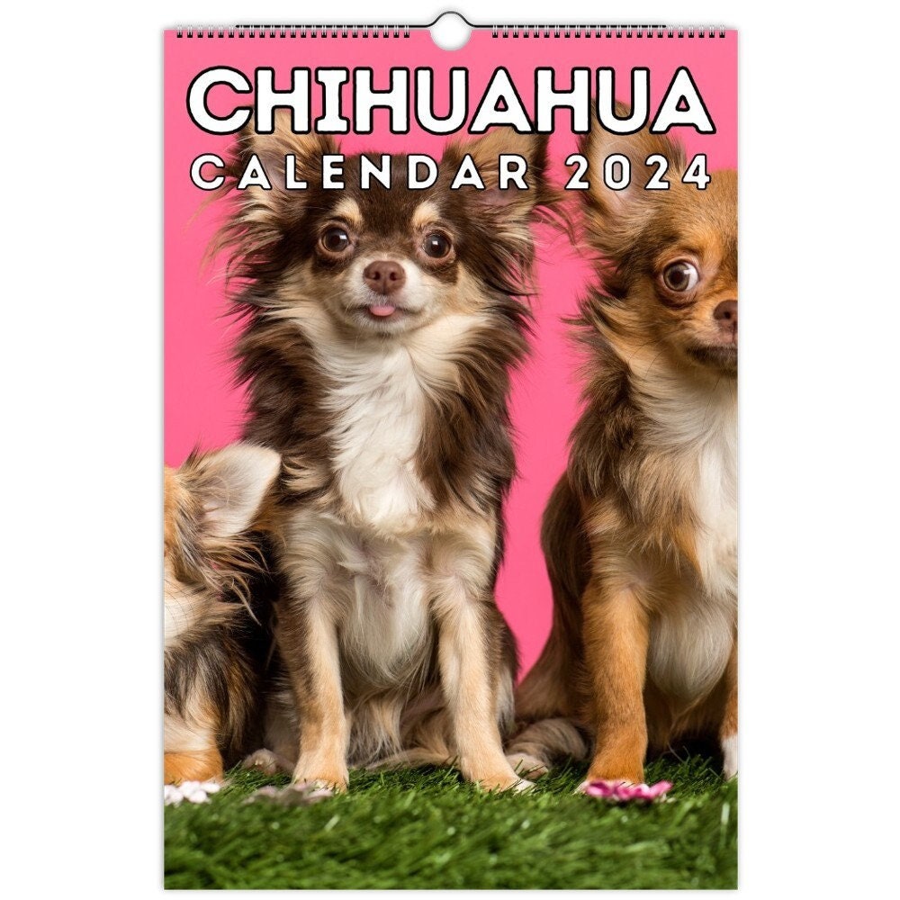 Chihuahua Calendar 2024, Cute Gift Idea for Chihuahua Lovers & Owners