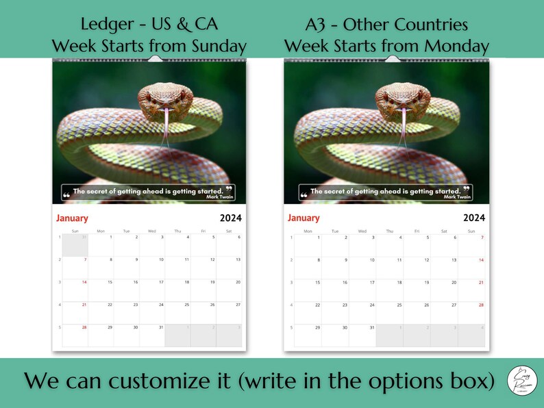 Snakes Wall Calendar 2024 Great Gift Idea for Snakes Lovers Etsy