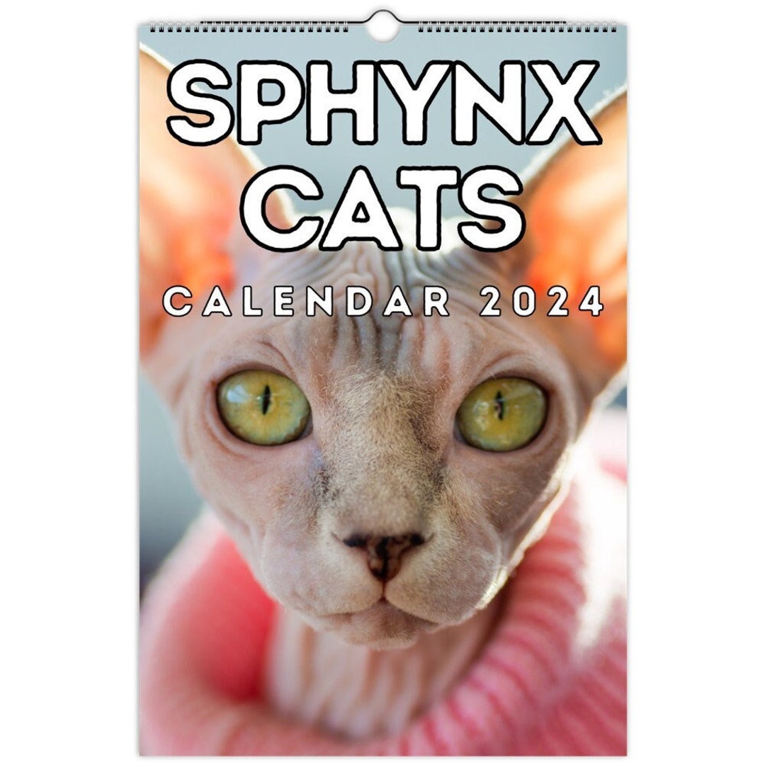 Sphynx Cats Wall Calendar 2024, Cute Gift Idea for Sphynx Cat Lovers Etsy