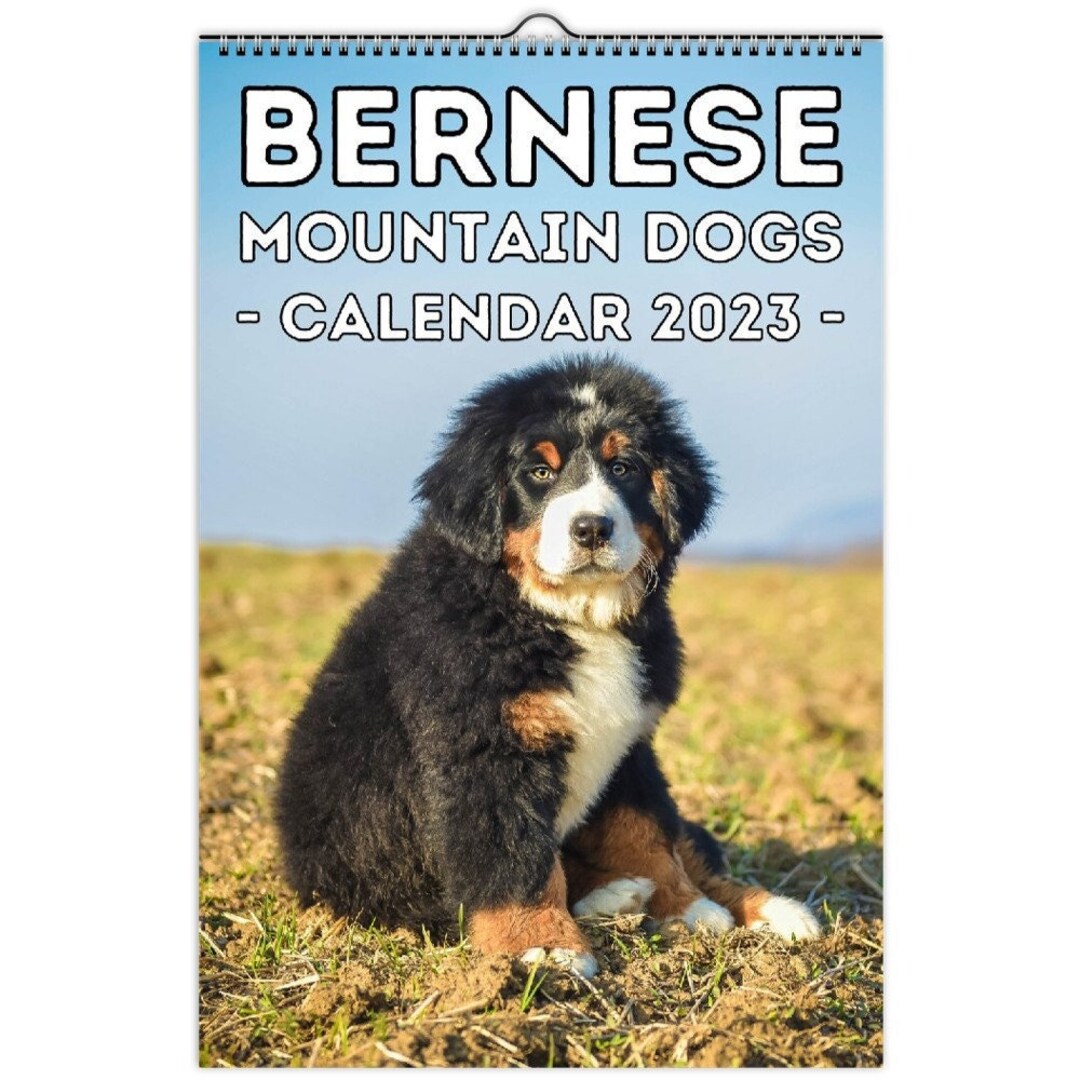 bernese-mountain-dogs-wall-calendar-2023-cute-gift-idea-for-etsy