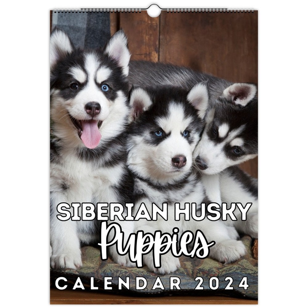 Siberian Husky Puppies Wall Calendar 2024, Cute Gift Idea for Siberian Husky  Lovers - Etsy