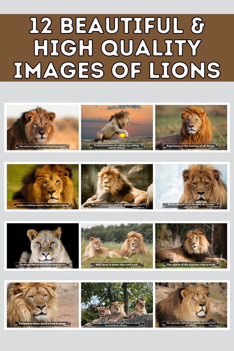 Lions Wall Calendar 2025, Cute Gift Idea for Lion Lovers Etsy