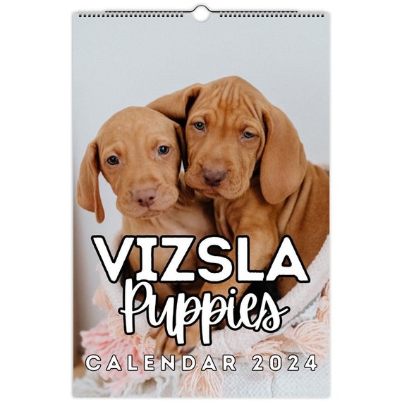 Vizsla Puppies Wall Calendar 2024 Cute Gift Idea for Vizsla