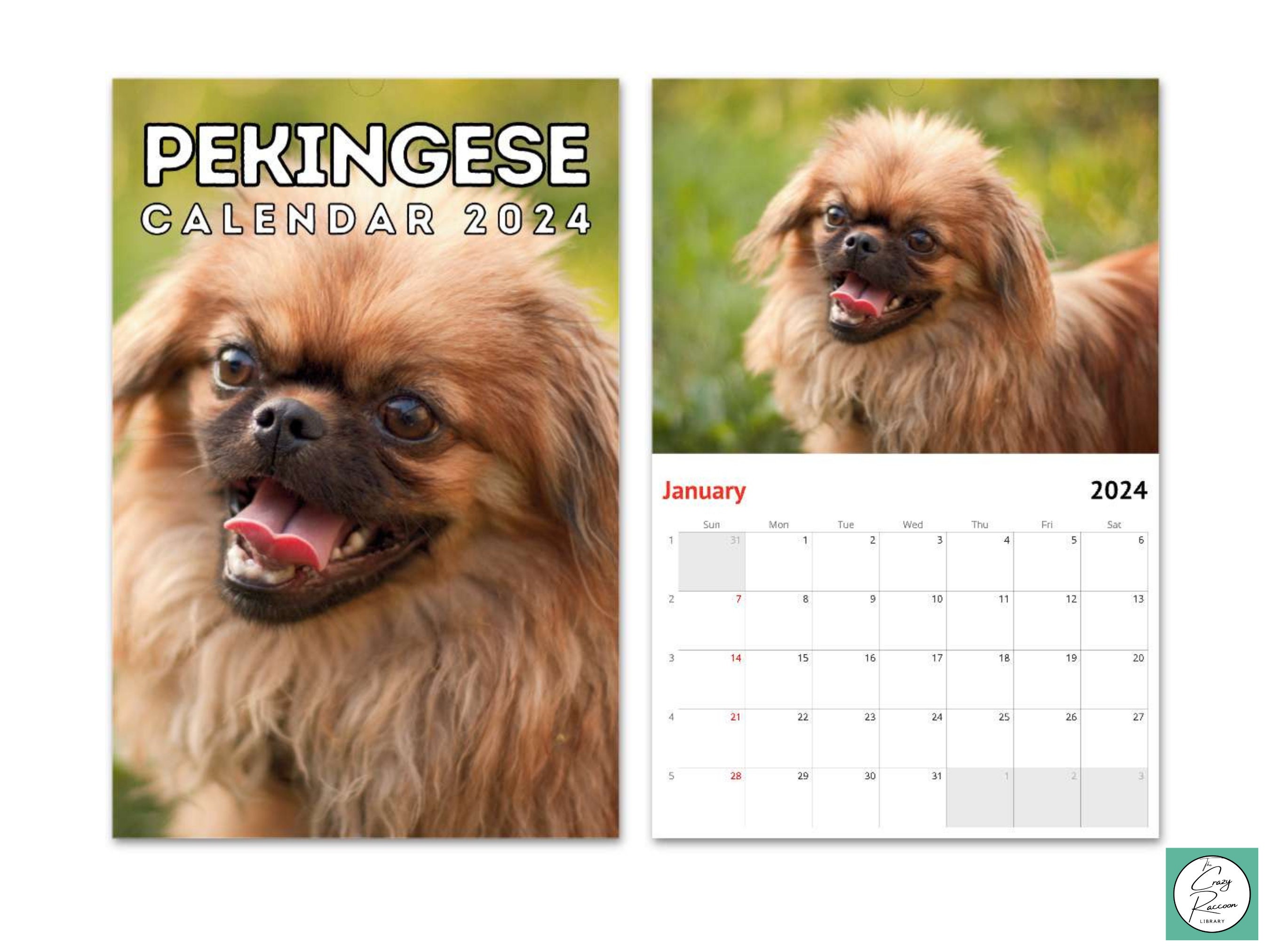 Pekingese Wall Calendar 2024, Gift for Pekingese Dog Lovers & Owners