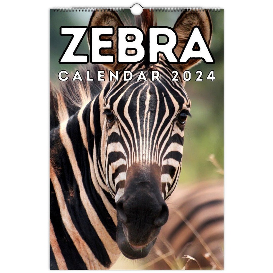 The Zebra Dun - Beth's Notes