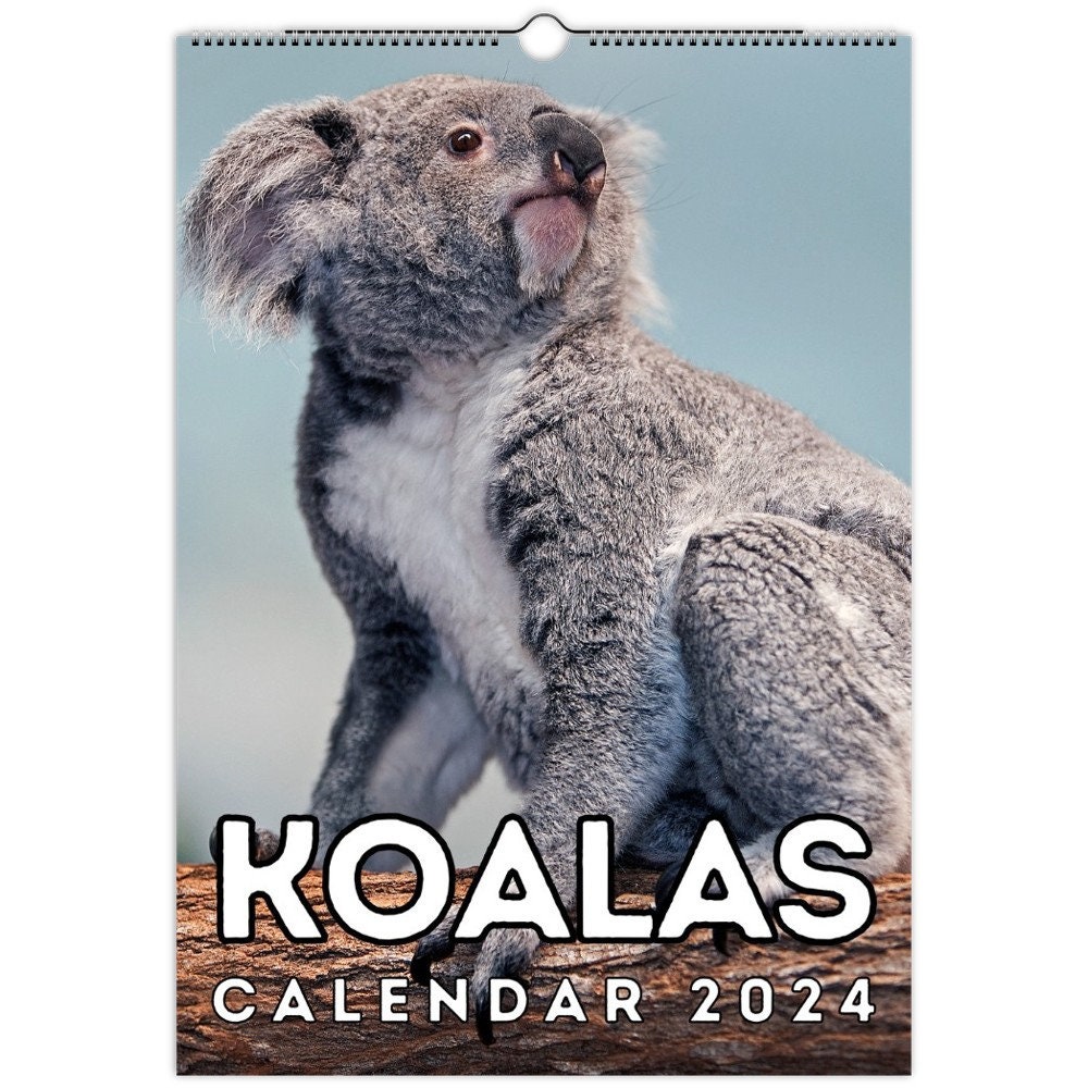 Koalas Wall Calendar 2024, Cute Gift Idea for Koala Lovers Etsy