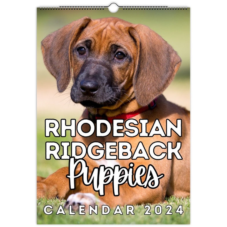 Rhodesian Ridgeback Puppies Wall Calendar 2024 Cute Gift Idea Etsy