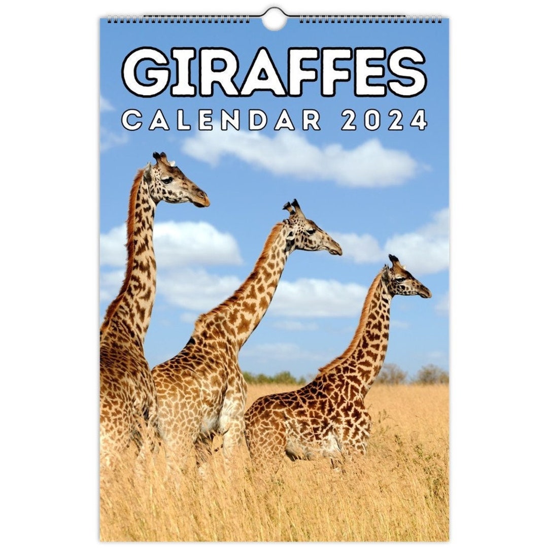 Giraffes Wall Calendar 2024 Cute Gift Idea for Giraffe Etsy Australia