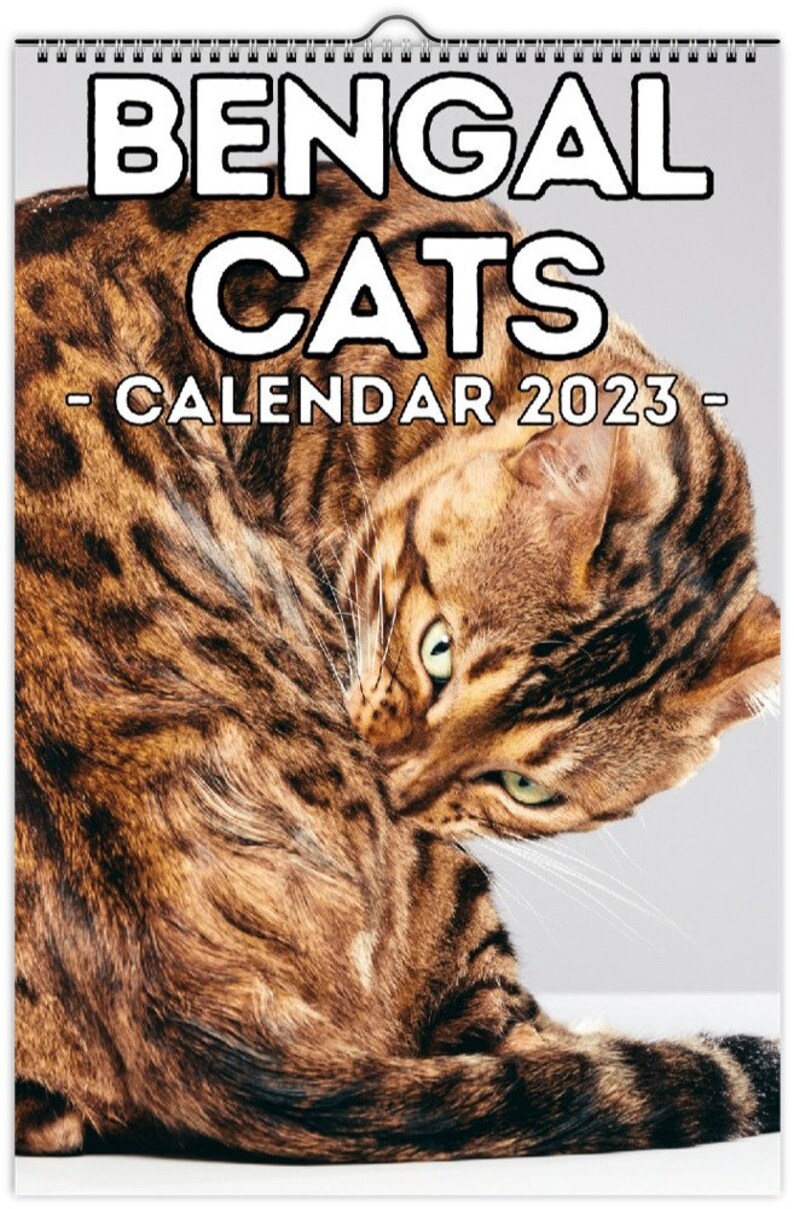 Bengal Cats Wall Calendar 2023 Cute Gift Idea for Bengal Cat Etsy
