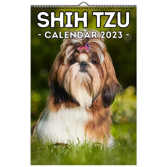 Shih Tzu Wall Calendar 2023 Cute Gift Idea for Shih Tzu - Etsy Sweden Shih Tzu Wall Calendar 2023 Cute Gift Idea for Shih Tzu - Etsy Sweden