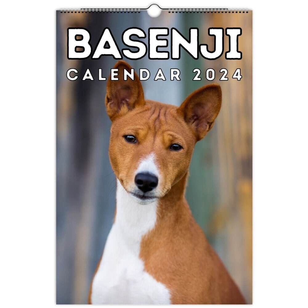 Basenji georgia best sale